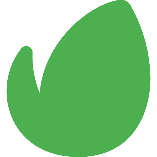 Canva Pro